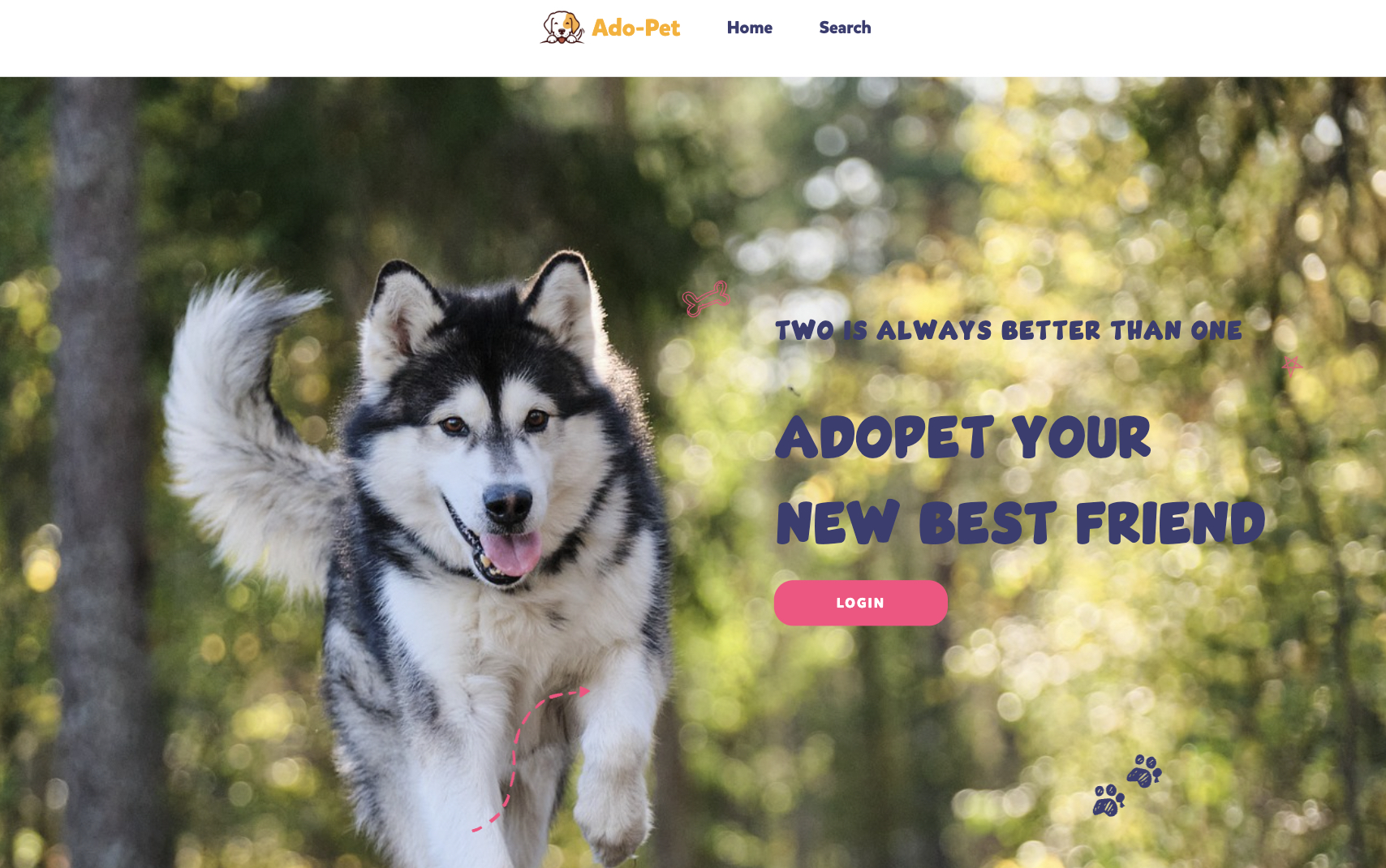 Screenshot of the Pet Adoption Project.